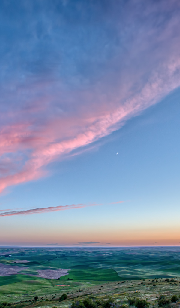 Природа вблизи Вашингтона