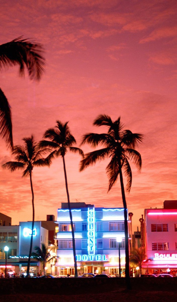 Неоновые огни Майами