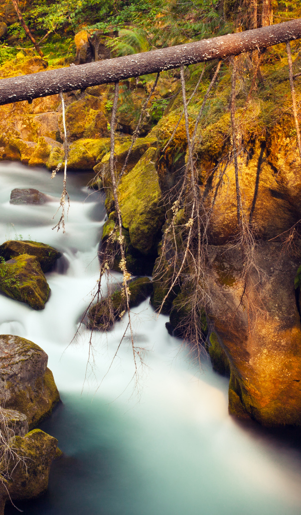 Река Северная Ампкуа, Орегон, США