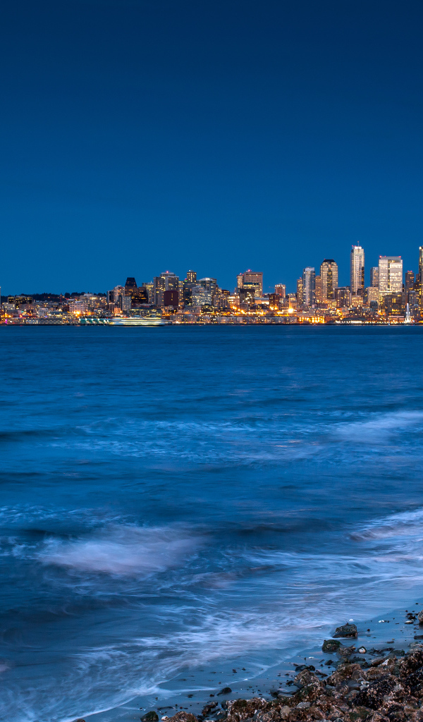 Фотография Сиэтла с пляжа, США