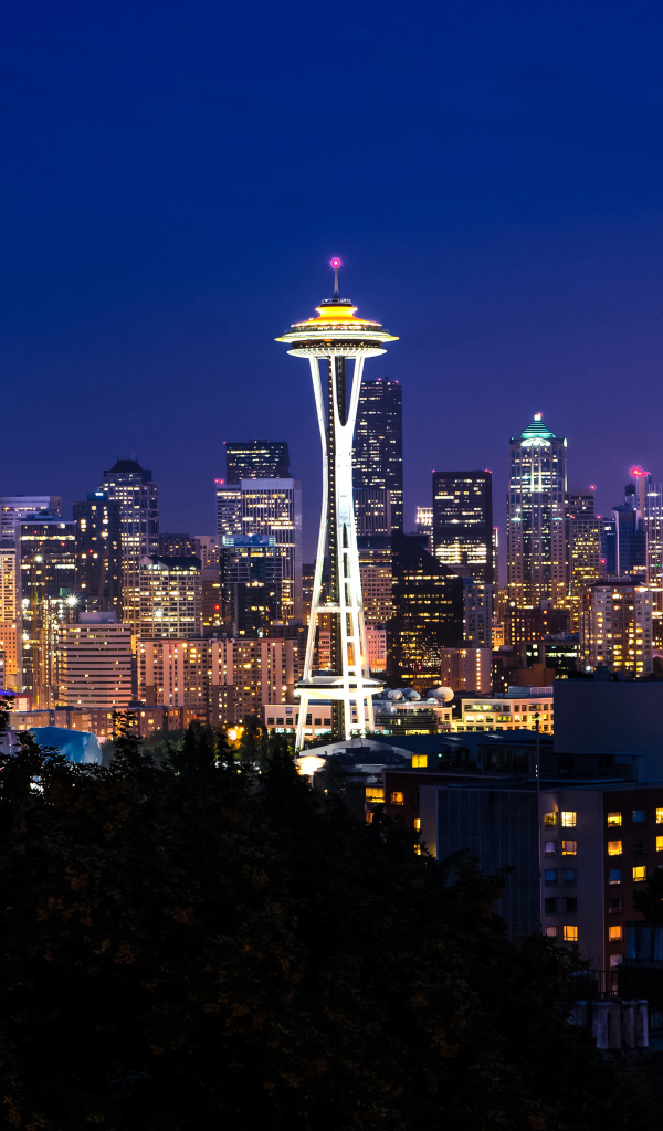 Сиэтл, Вашингтон ночью, фото с Керри парка