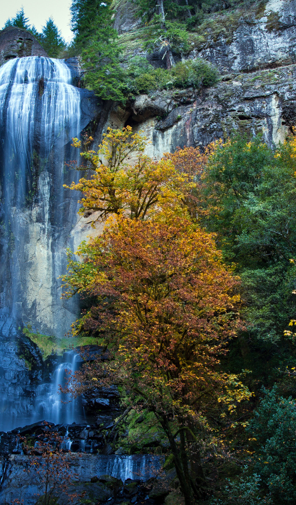 Парк Сильвер Фоллс, Западная Орегона, США
