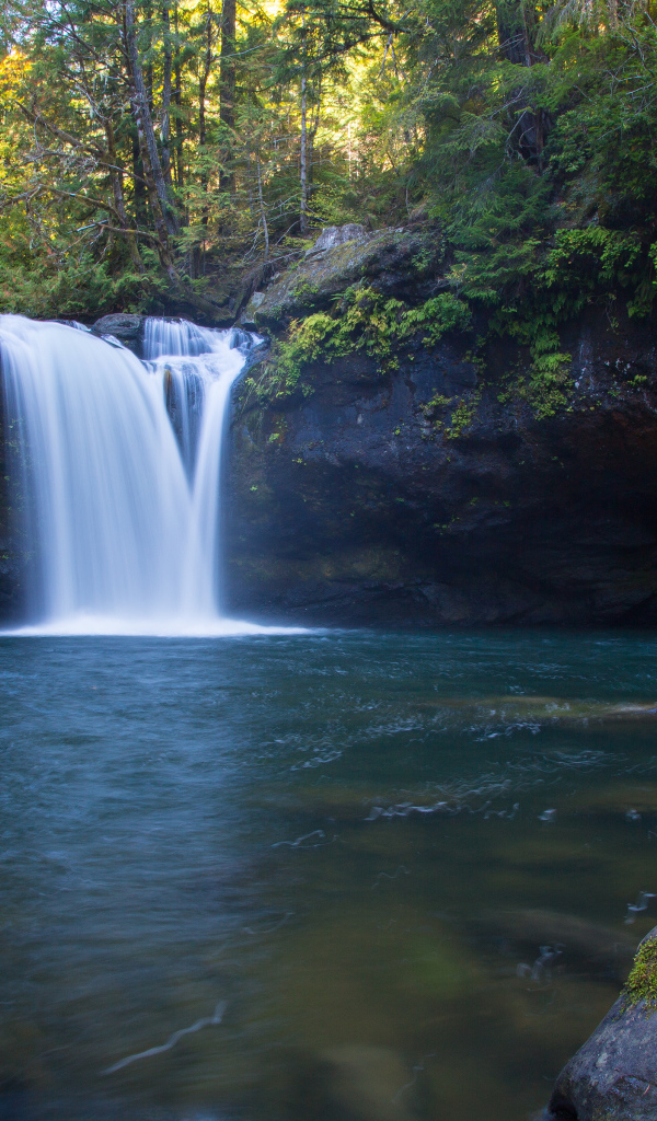 Водопад в округе Коос, США