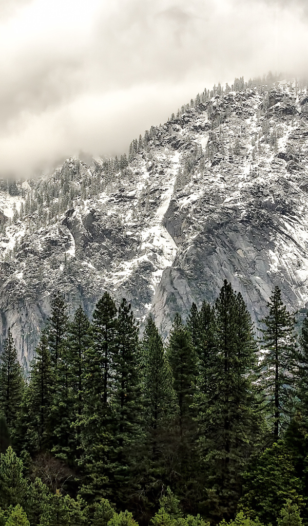 Национальный парк Йосемити, Калифорния, США