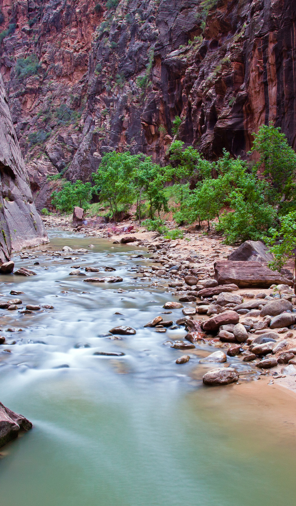 Сионский национальный парк, штат Юта, США