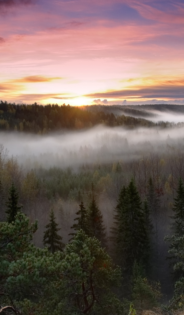 Национальный парк Нууксио, Финляндия