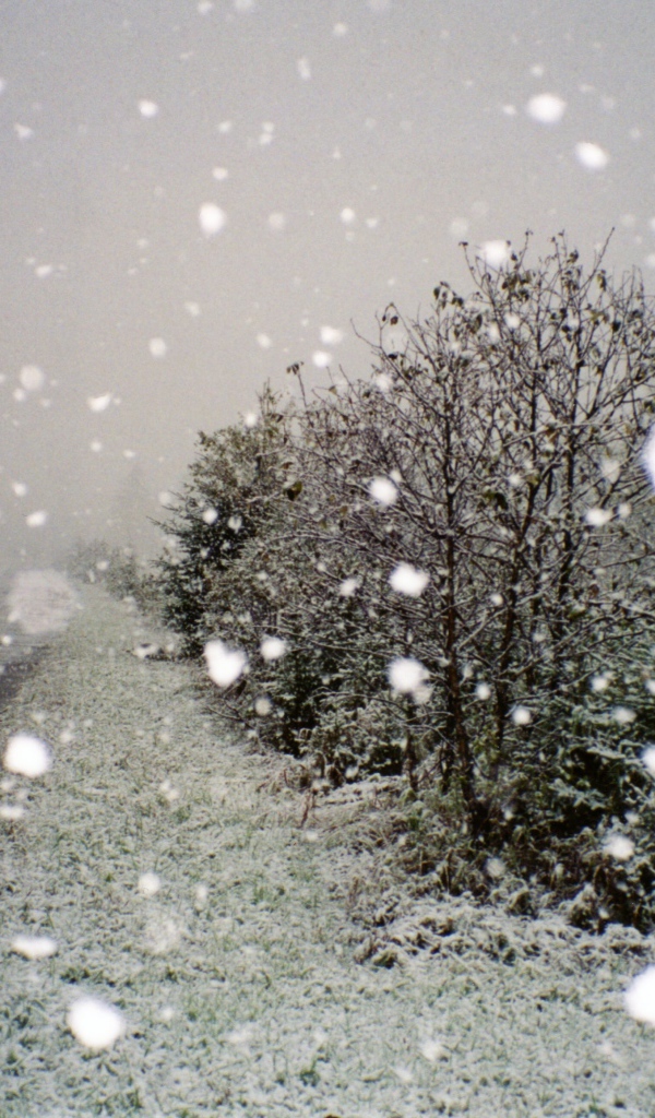 Поездка по зимнему Харькову