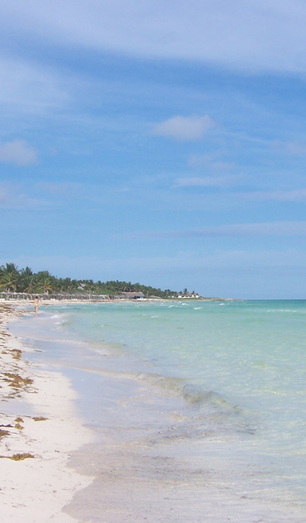 Осенний отдых на курорте Кайо Коко, Куба