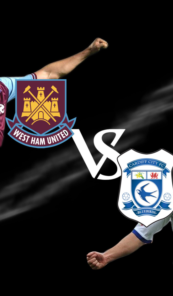 Потрясающий Футбольный клуб Кардифф Сити