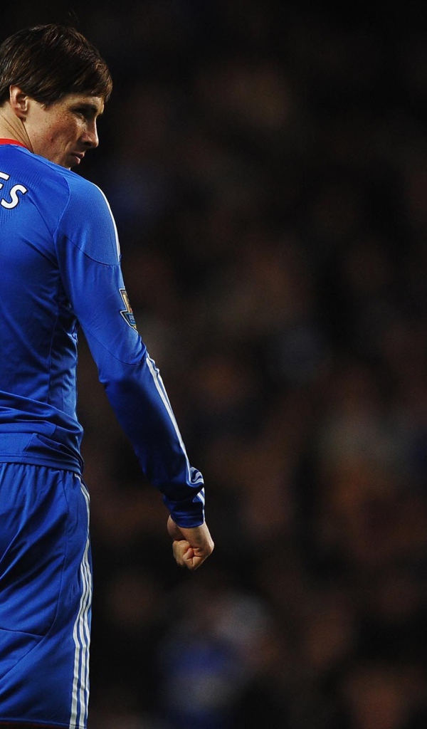 Спина Фернандо Торреса