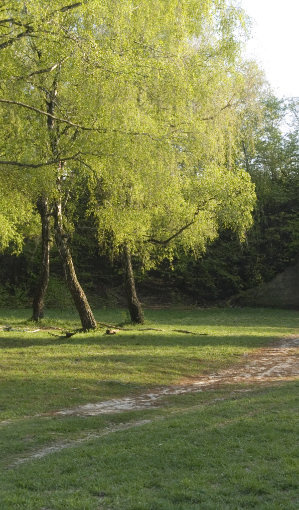 Лысая гора в Киеве