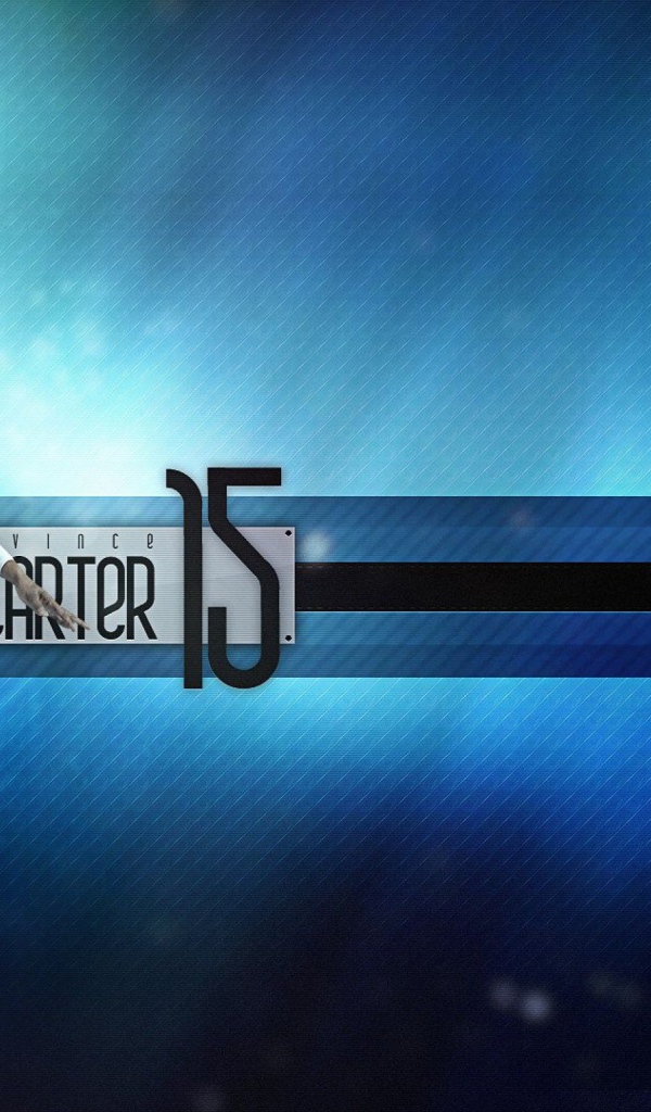 Баскетбол с Винсом Картером