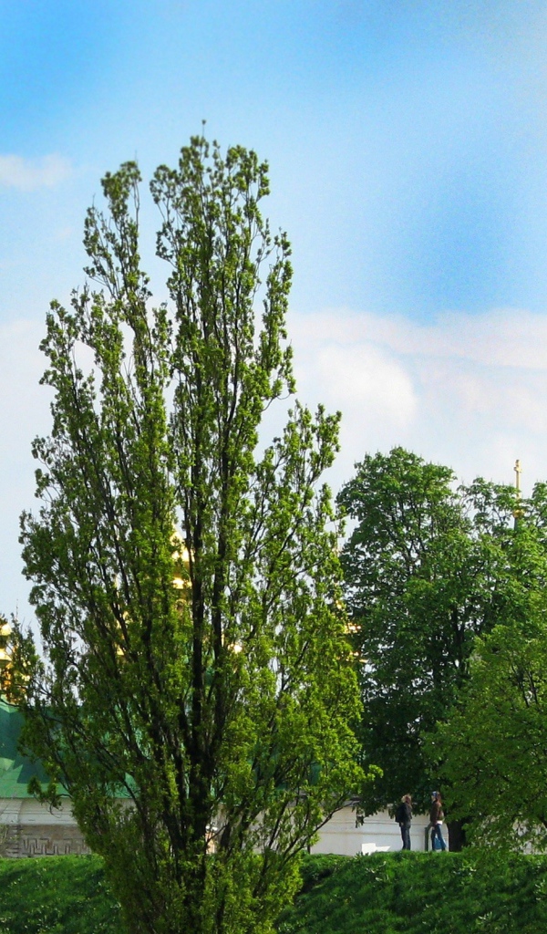 Красивые Соборы Киева