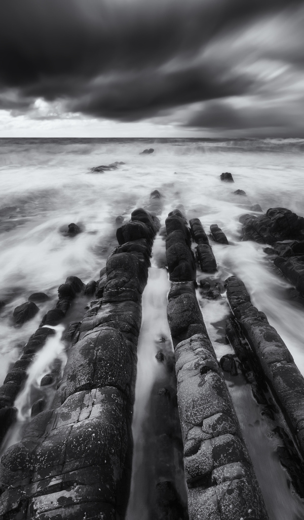 Красивое чёрно-белое фото тумана