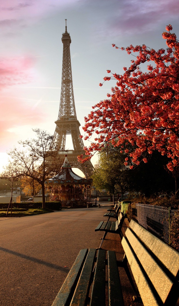 Beautiful park on a background of the Eiffel Tower