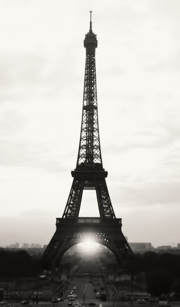 Красота Эйфелевой башни, чёрно-белое фото