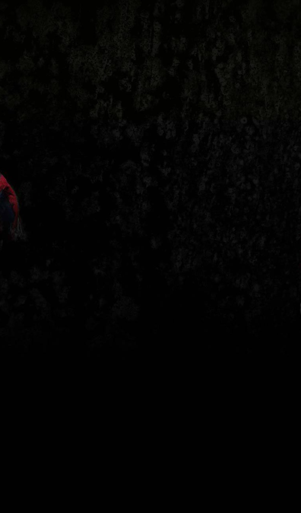 Возлюбленный ФК Кристал Пэлас