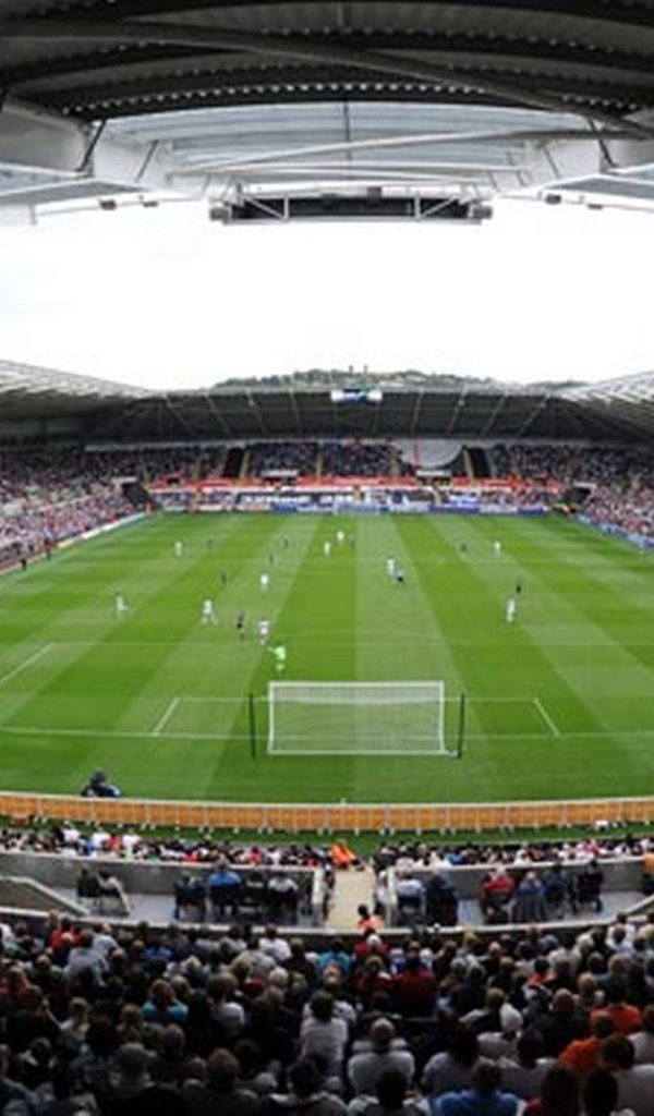 Возлюбленный Футбольный клуб Англии Суонси Сити