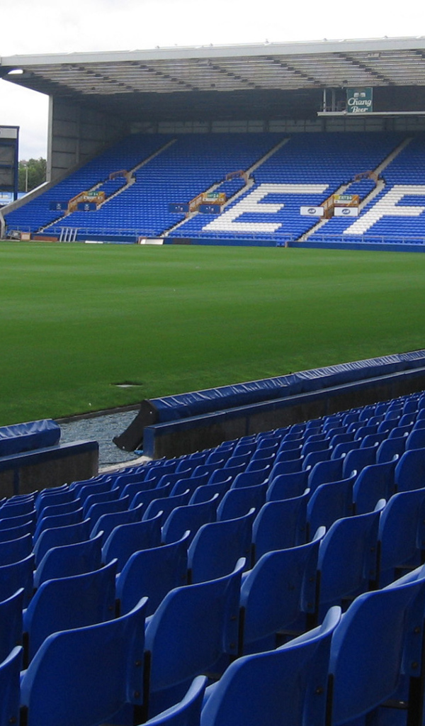 Возлюбленный клуб Эвертон