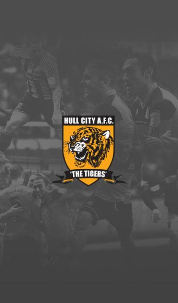 Возлюбленный ФК Англии Халл Сити