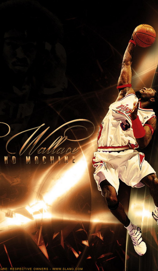 Бен Уэллис забрасывает мяч