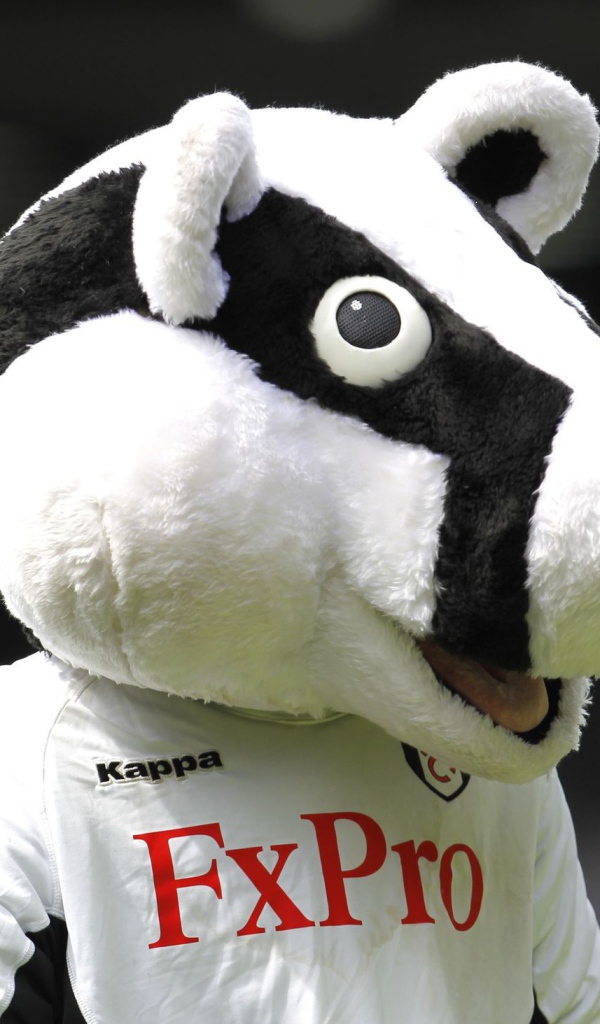 Лучший Футбольный клуб Фулхэм