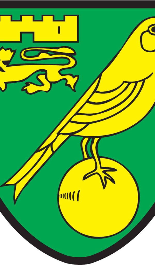 Лучший Футбольный клуб Норвич