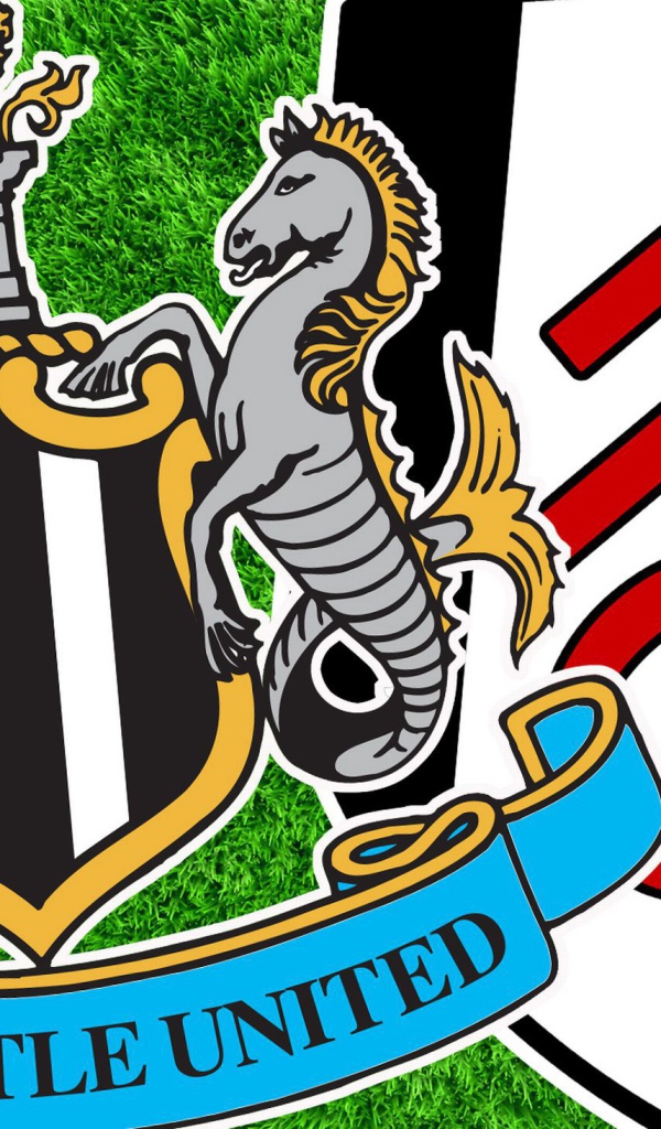 Лучший Футбольный клуб Англии Фулхэм