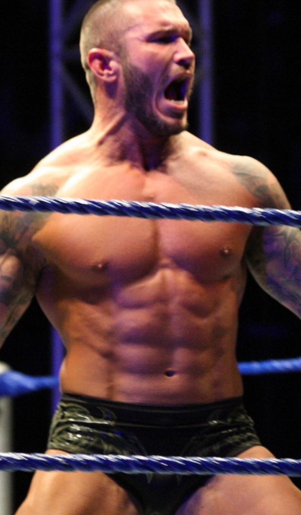 Боксер на арене