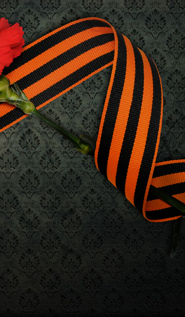 Гвоздика в День Победы 9 мая