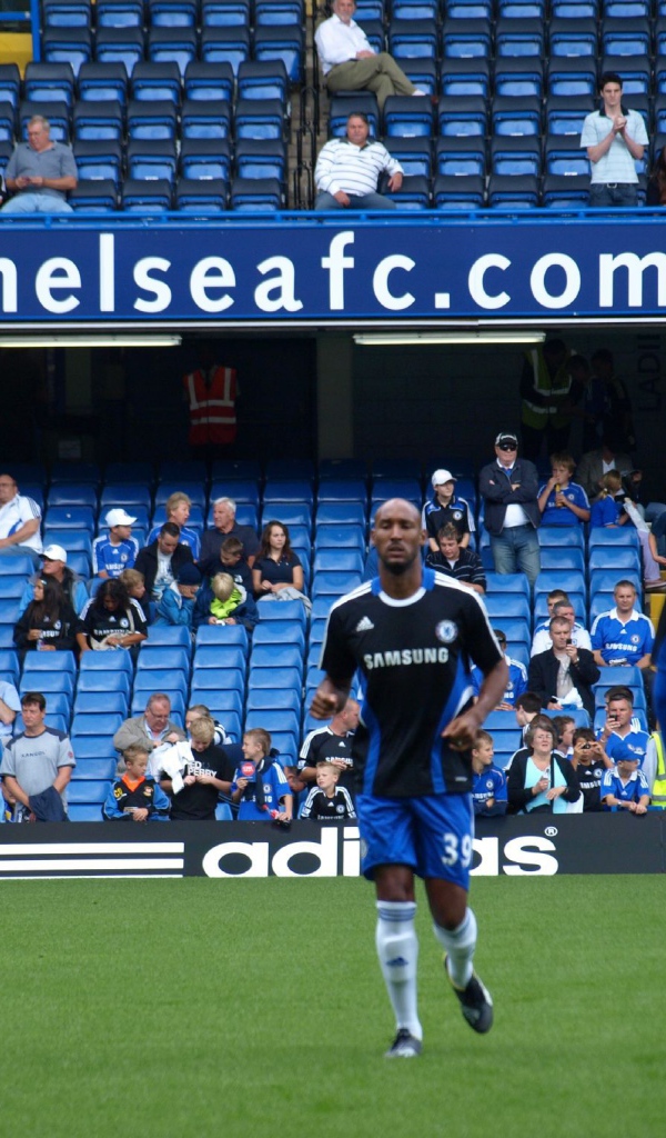 Челси команда на поле