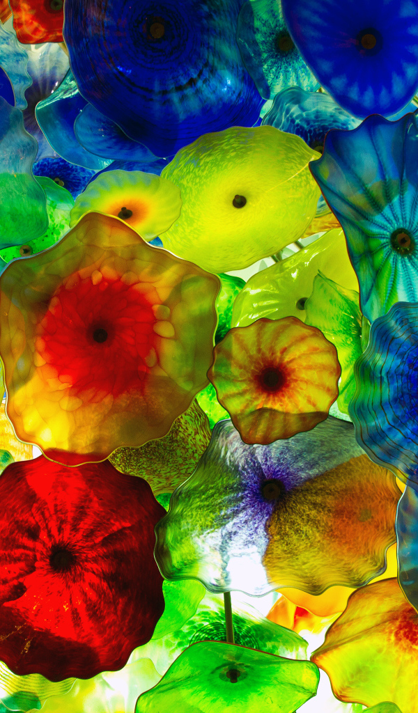 Креативная многоцветная фотография