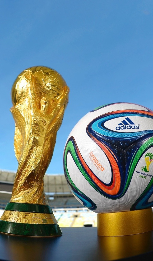 Кубок и мяч Чемпионата Мира по футболу в Бразилии 2014 на стадионе