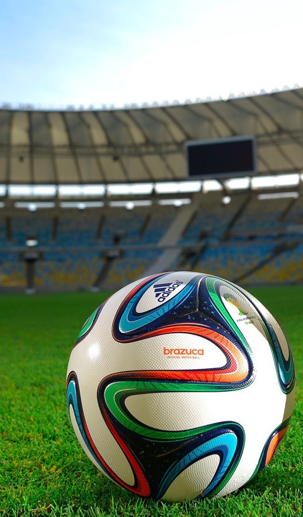 Кубок и мяч Чемпионата Мира по футболу в Бразилии 2014 на поле