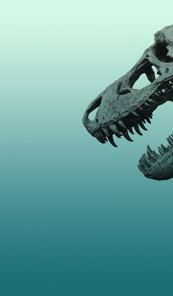 Череп динозавра