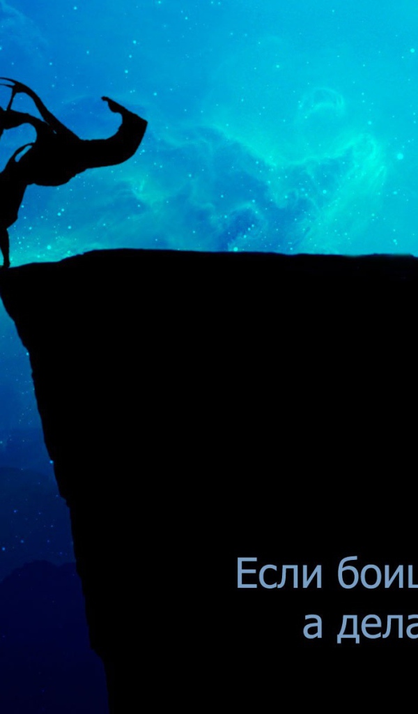 Не бойся делать