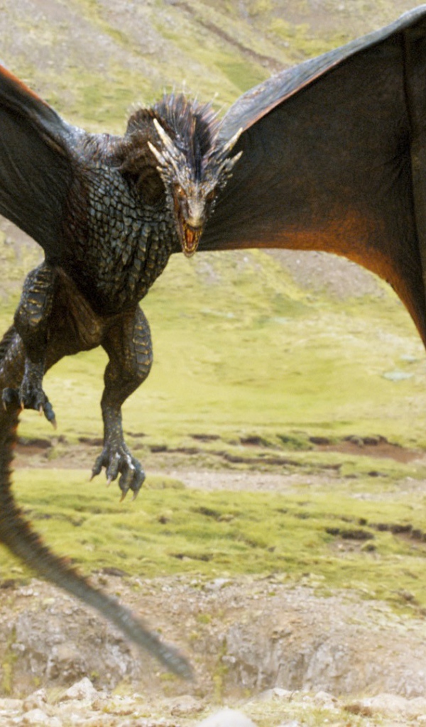 Дракон из сериала Игры престолов