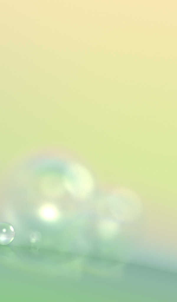 Капли утренней росы