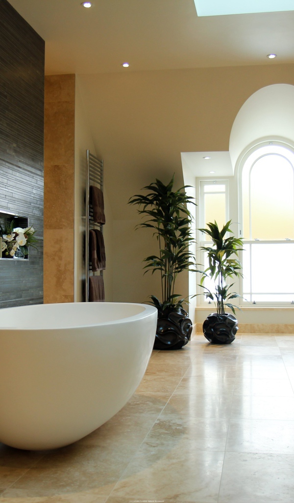 Яйцевидная форма ванной