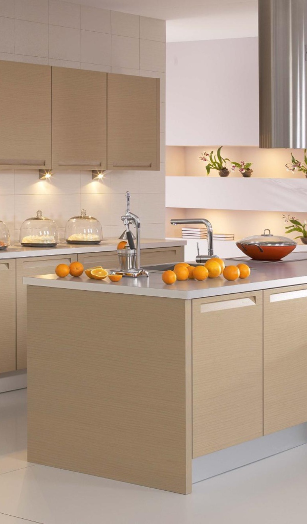 Кухня в европейском стиле