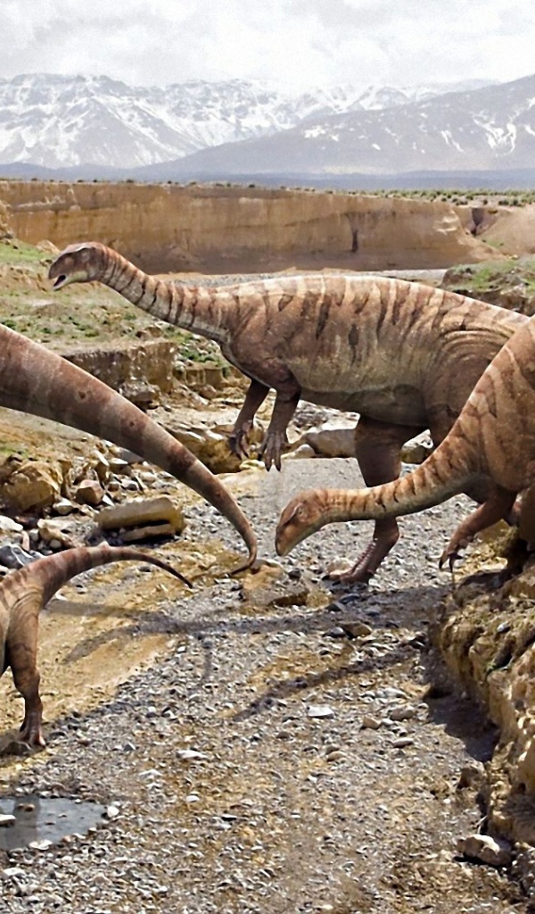 Family of dinosaurs roam
