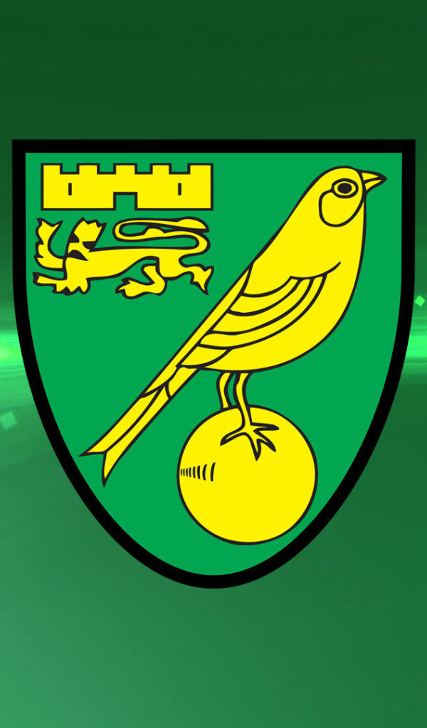 Известный Футбольный клуб Норвич