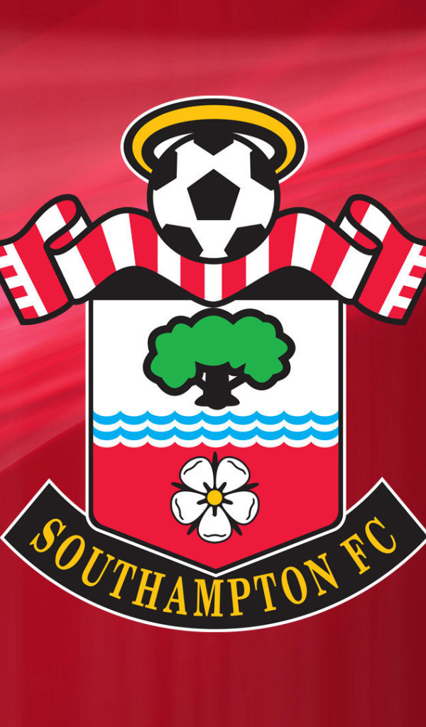 Знаменитый Футбольный клуб Саутгемптон