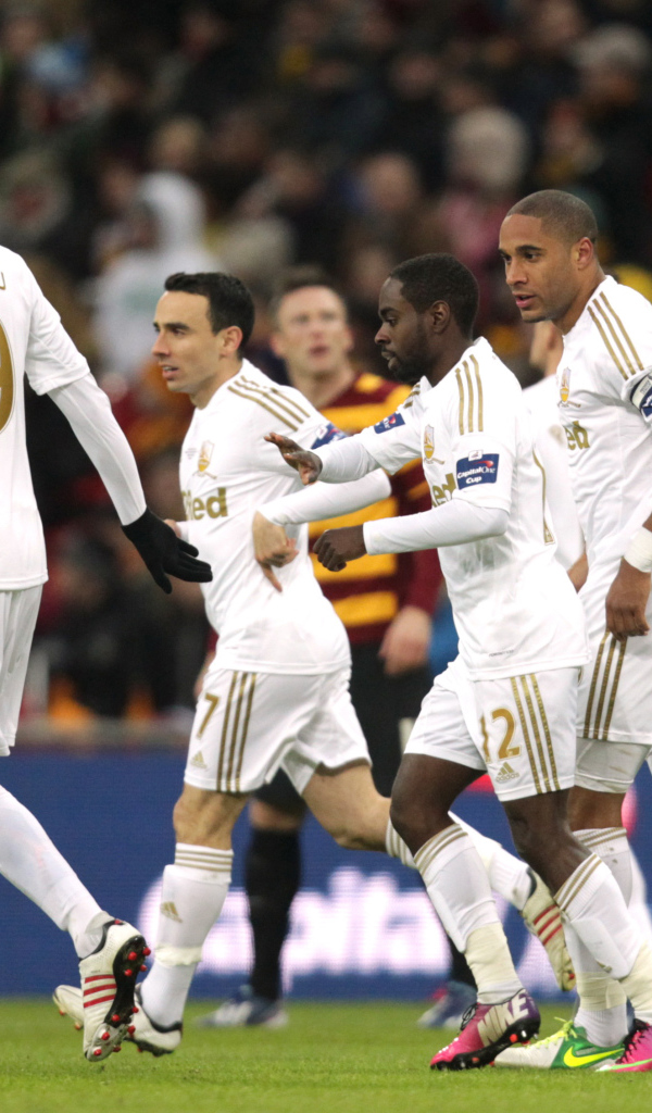 Известный Футбольный клуб Суонси Сити