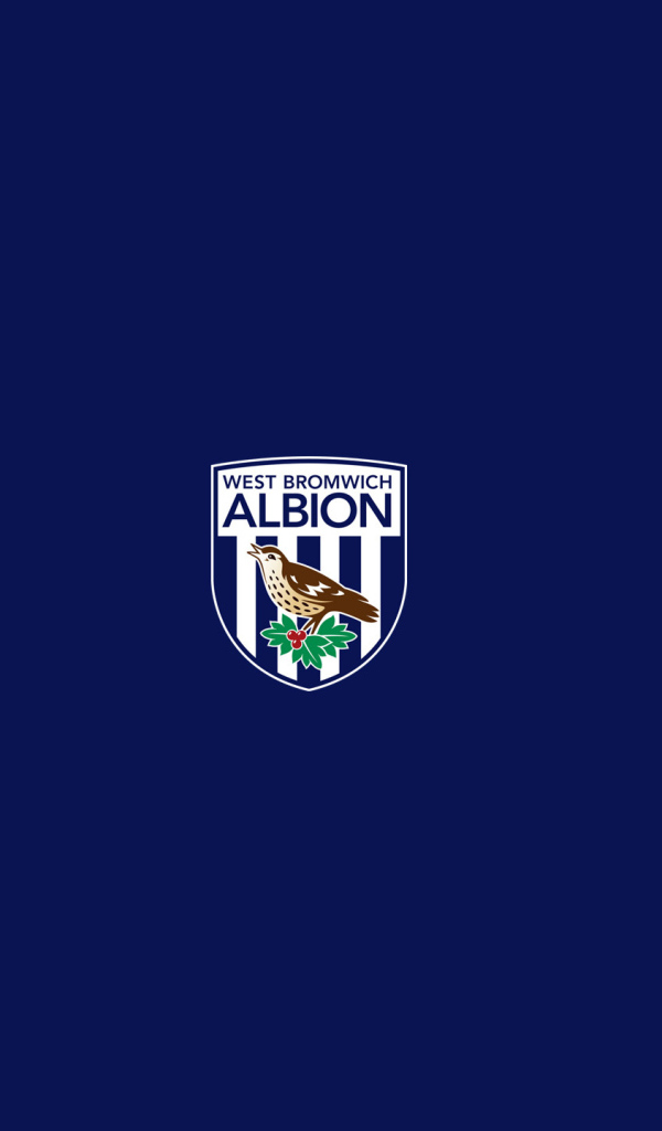 Famous Football club england West Bromwich Albion