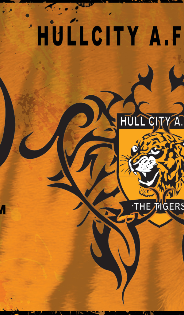ФК Халл Сити