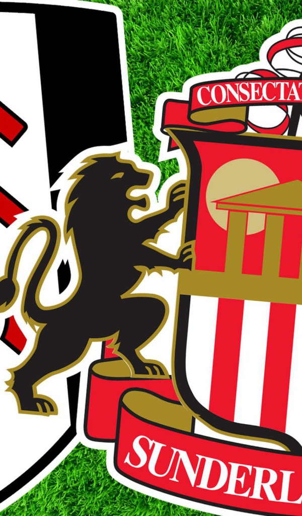 Футбольный клуб Фулхэм