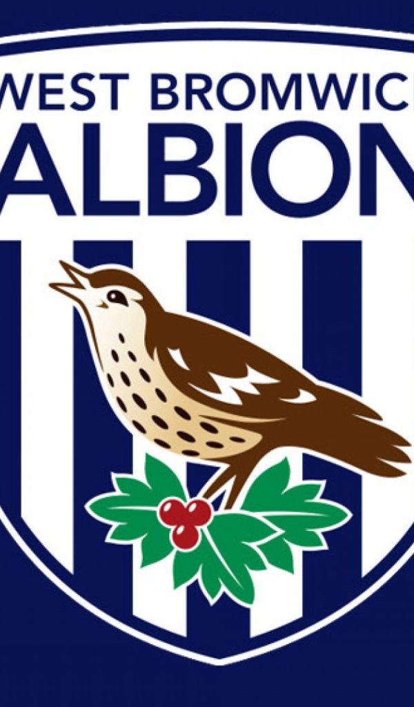 Футбольный клуб Англии Вест Бромвич Альбион