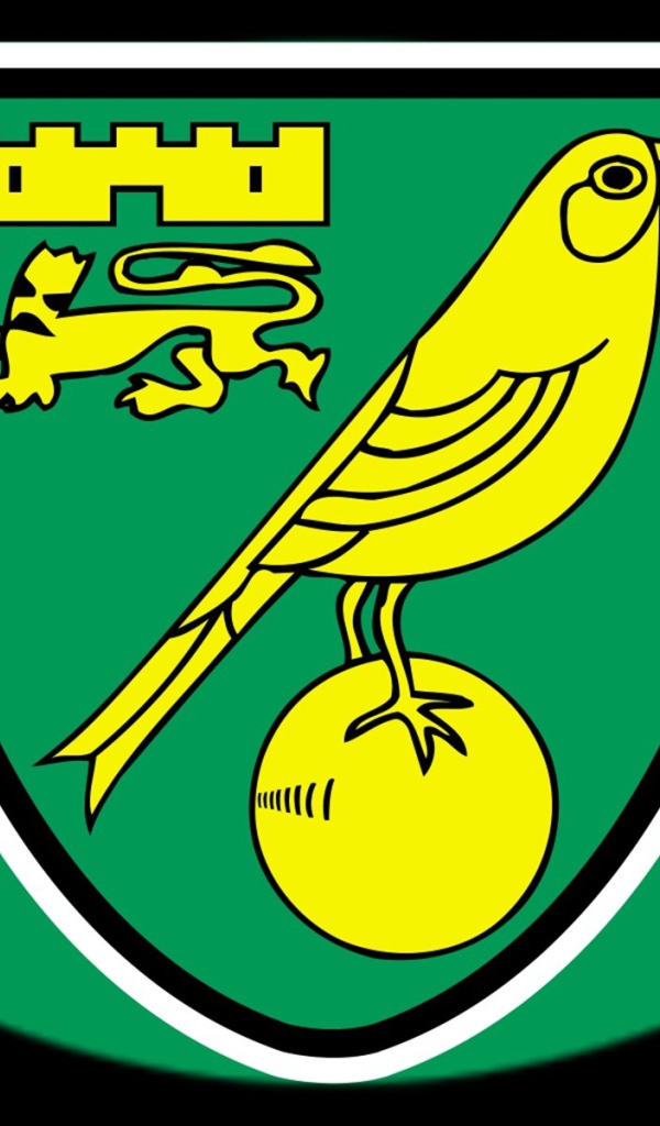 Футбольный клуб Англии Норвич