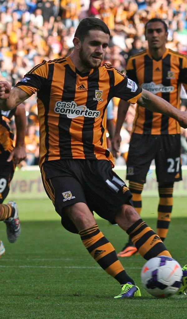 Футбольный клуб Англии Халл Сити Тигры